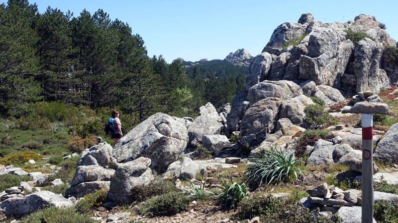 2016-05-05_112023 sardinien-2016.jpg - Wanderung im Monte-Limbara-Gebirge